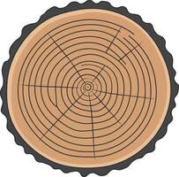 Tree trunk cross section with visible growth rings and bark texture illustration vector