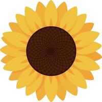 Sunflower bright yellow petals with brown center illustration design vector