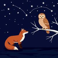 Fox and owl under starry night sky with visible constellations illustration vector