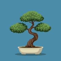 Bonsai tree with twisted trunk and green foliage in pot illustration vector
