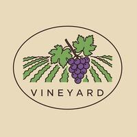 Vineyard logo design with grape cluster and green leaves in oval frame illustration vector