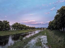 River is flooded with water and trees are in the background photo