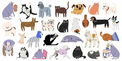 Cartoon cute cats and dogs character collection in various poses and different breeds. Funny domestic animals with happy charming playful expression vector