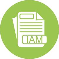 IAM File Format Color Accent Visual vector