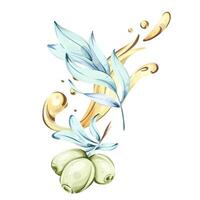 Delicate watercolor illustration of olives and olive oil inspired by Italian cuisin nature vector