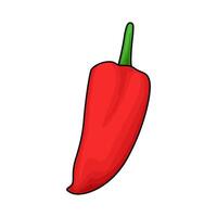 illustration of fresh red chilies vector