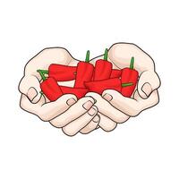 fresh red chilies in hand vector
