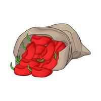 organic red chili in sacks vector