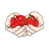organic red chili in hands vector
