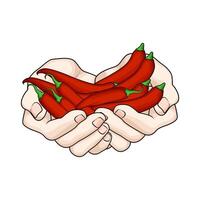 red chili pepper in hand vector