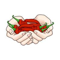 red chili in hand vector