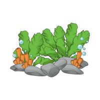 seaweed with bubbles vector