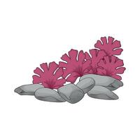 Fresh Seaweed with sea rocks vector