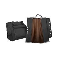 Accordion with accordion case illustration vector