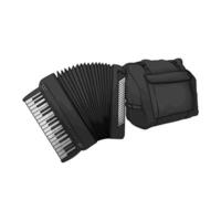 Accordion with accordion case vector