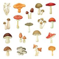 Mushroom Forest Plant with Stem and Cap Set vector
