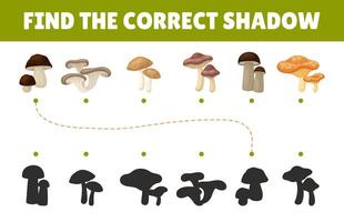 Mushroom Flashcard with Forest Plant with Stem and Cap Template vector