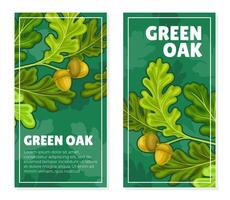 Green Oak Nature Banner Design with Tree Branch and Acorn Template vector