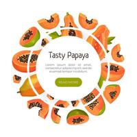 Papaya Fruit Label Design with Cut Section with Seeds and Orange Pulp Template vector