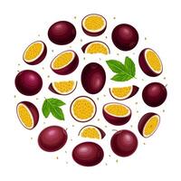Passion Fruit Round Composition Design with Exotic Berry Template vector