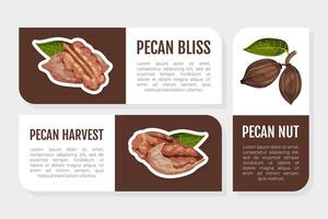 Pecan Nut Label Design with Kernel and Shell Template vector