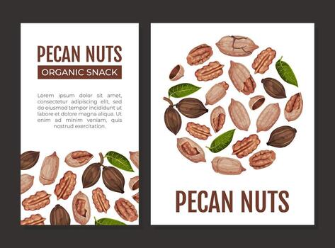 Pecan Nut Banner Design with Kernel and Shell Template vector