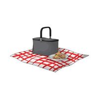 sandwich and basket on a picnic blanket vector