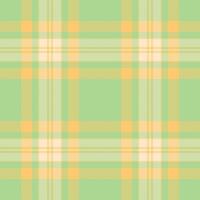 Soft pastel plaid pattern. Perfect for springsummer designs, textiles, or backgrounds. Evokes feelings of freshness and serenity. Ideal for websites, packaging, or stationery. vector