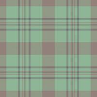Outline pattern texture fabric, back check seamless. Expressive background plaid textile tartan in pastel and medium gray colors. vector