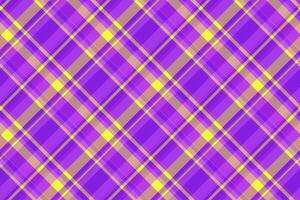 Inspiration fabric textile , trousers texture tartan check. Latin plaid pattern background seamless in violet and purple colors. vector