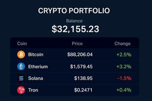 Crypto portfolio balance display with coin names and change stats vector