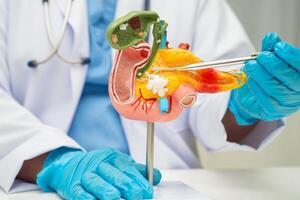 Pancreatitis, pancreatic cancer, Asian doctor with pancreas, gallbladder photo