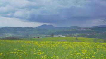 Timelapse of Clouds Rolling Over Mountains with Blooming Meadow in Lessinia video