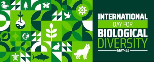 International Day for Biological Diversity Geometric shape pattern background banner or poster design template. observed every year in May. Holiday concept. Use to any Template, card, poster, placard vector