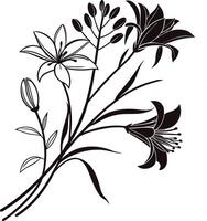 Floral Bouquet Line Drawing Abstract Botanical Line vector
