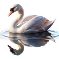 impressive mysterious rustic A graceful swan swimming on a calm lake, reflective surface and serene atmosphere, in an impressionistic style professional png