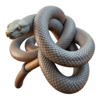 mesmerizing bold contemporary A slithering snake coiled around a branch, close up shot with detailed scales, in a realistic style sharp png