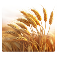 spectacular notable A field of ripe wheat swaying in the wind, golden hour lighting, impressionistic style png