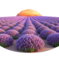 glorious unforgettable A field of lavender at sunset, painted in a soft, impressionistic style with a purple and orange color palette png