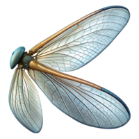 celebrated avant garde A close up of a dragonfly s wing, intricate veins, transparent and delicate, macro photography, top tier png