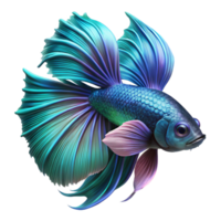 pristine traditional A vibrant betta fish with flowing fins, intricate details, close up shot, dark background, neon lighting elite png