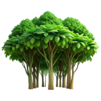 sought after coastal A lush green jungle canopy viewed from below, dappled sunlight, realistic style professional png