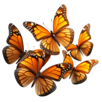 fascinating romantic rustic A swarm of monarch butterflies migrating, golden hour lighting, National Geographic style high quality png