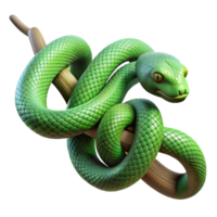 remarkable bohemian A slithering green snake wrapped around a branch, realistic style, dappled sunlight, intricate scales premium png