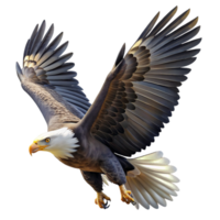 unforgettable creative A majestic bald eagle soaring through the sky, dynamic lighting, realistic wildlife photography ultra HD png
