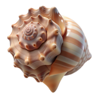 serene playful geometric A close up of a seashell with intricate patterns, delicate textures, macro photography, beach theme crisp png