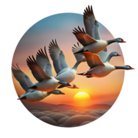 immaculate renaissance A flock of migrating geese flying in V formation, sunset sky, nature photography handcrafted png