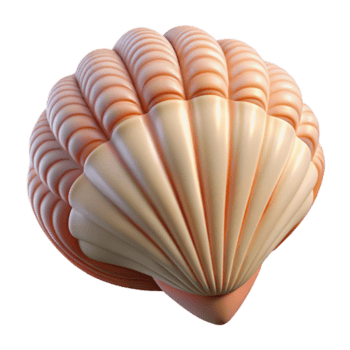 striking playful artistic A single perfect seashell, intricate patterns and textures, soft lighting, beach setting, handcrafted png