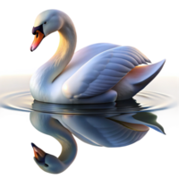 immaculate timeless A graceful swan gliding across a still lake, its reflection shimmering in the water, in a serene, elegant style png