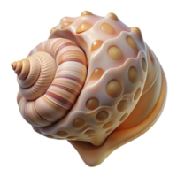 stunning sought after A close up of a seashell, intricate patterns, soft lighting png